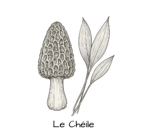 Le Cheile