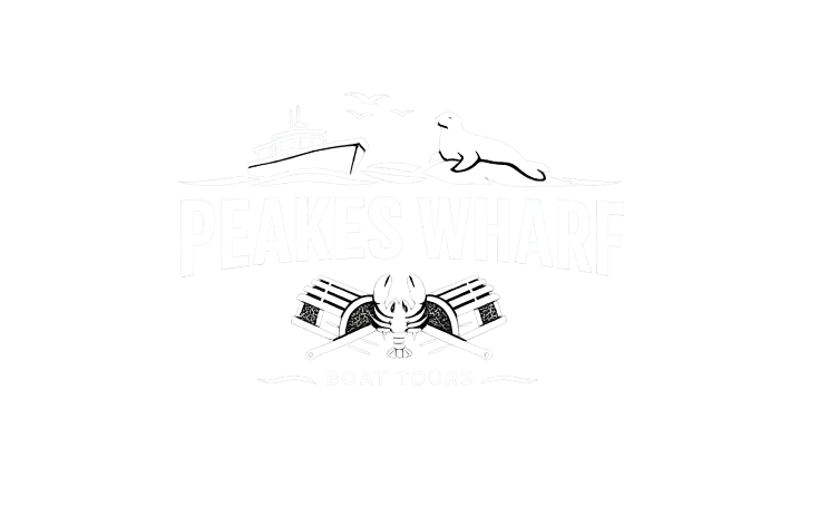 Peakeswharfboattours