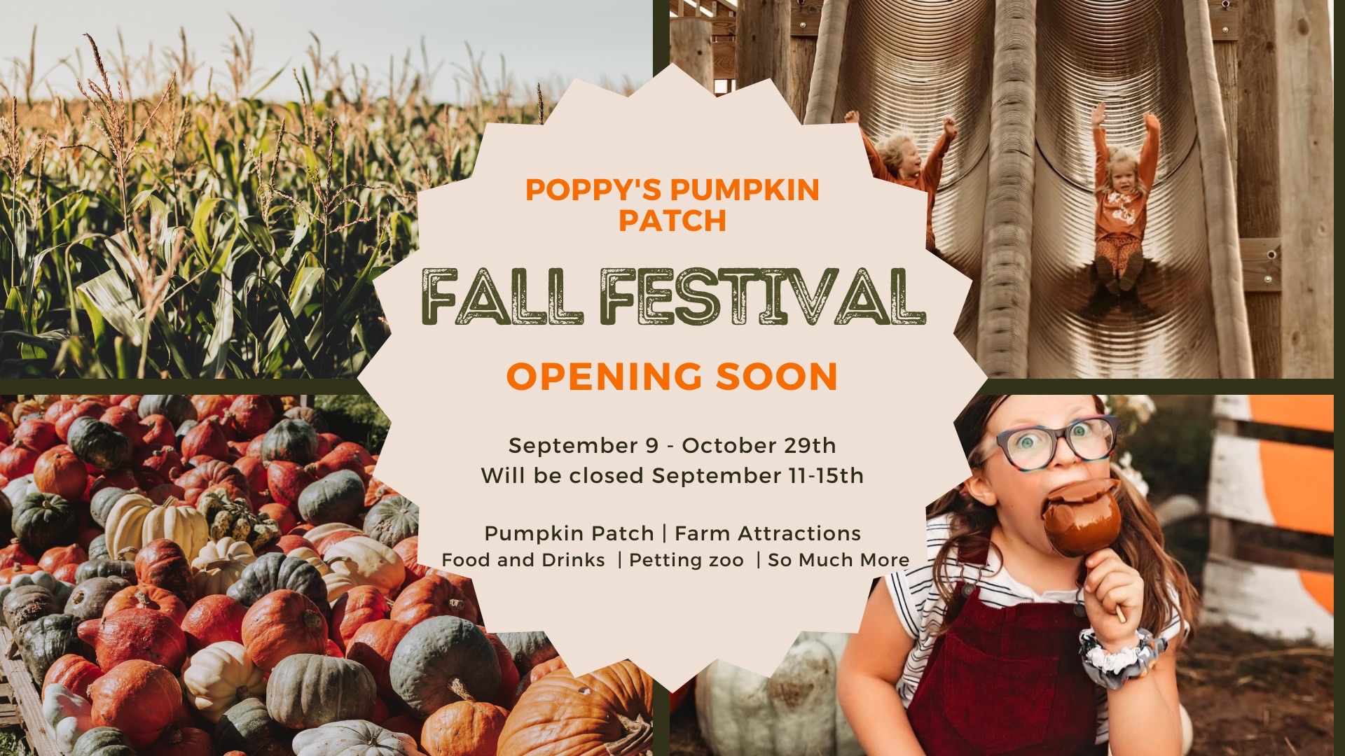 Poppy’s Pumpkin Patch Events