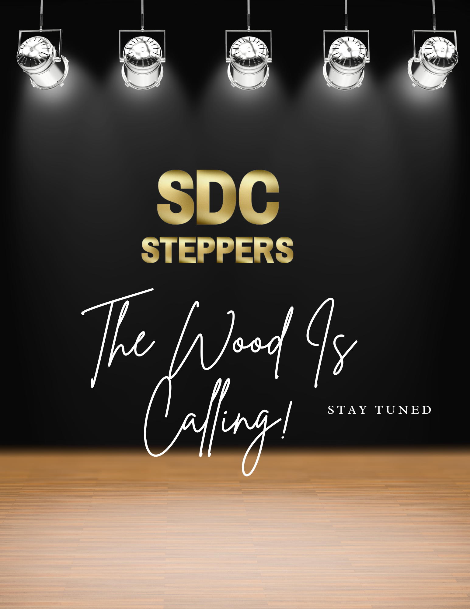 SDC Steppers