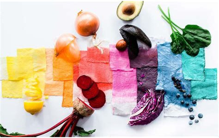 Kids Natural Dye Class Color Experience