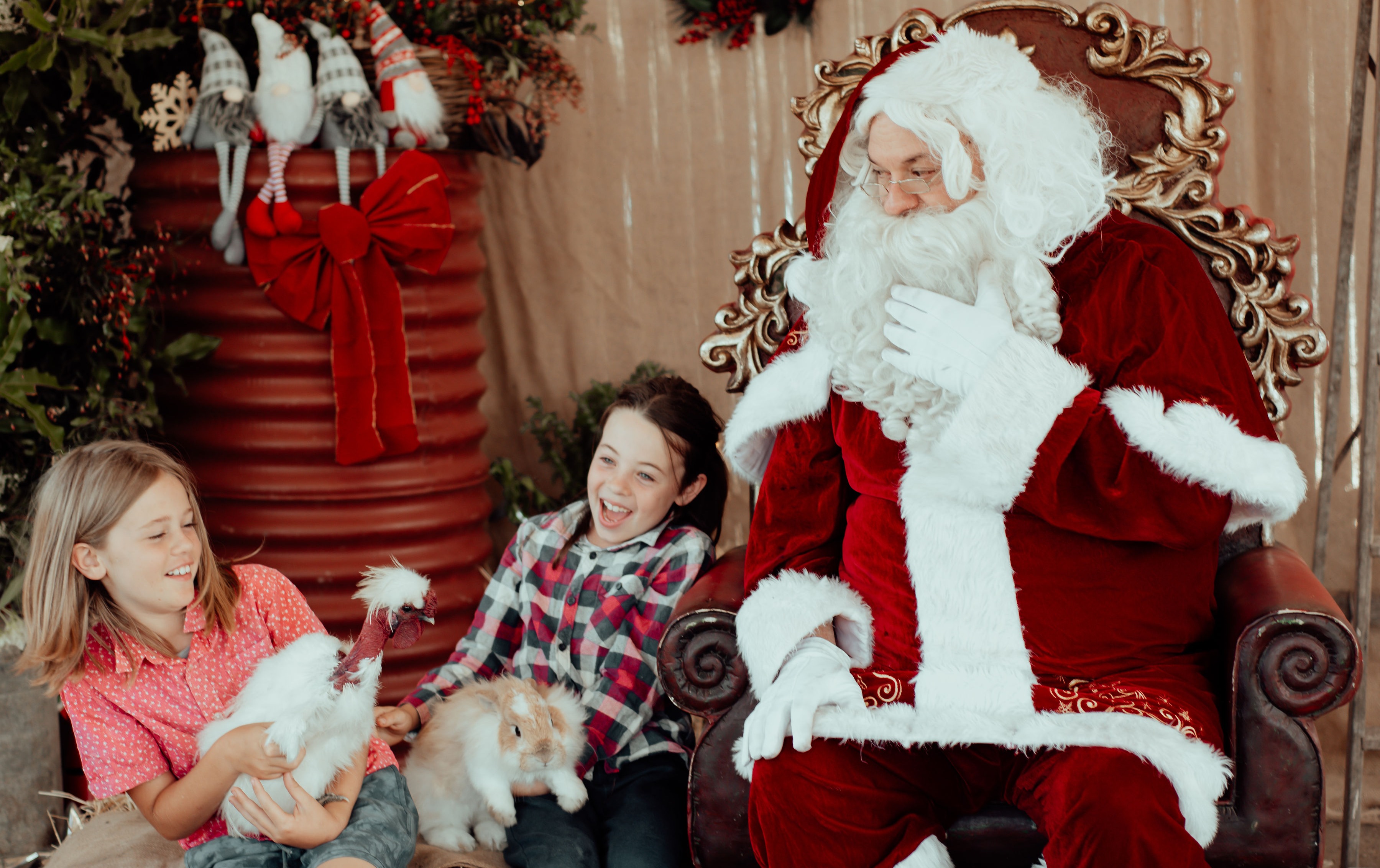 Santa Photos on the Farm - Sunday 3rd December Tickets | The Davis Farm