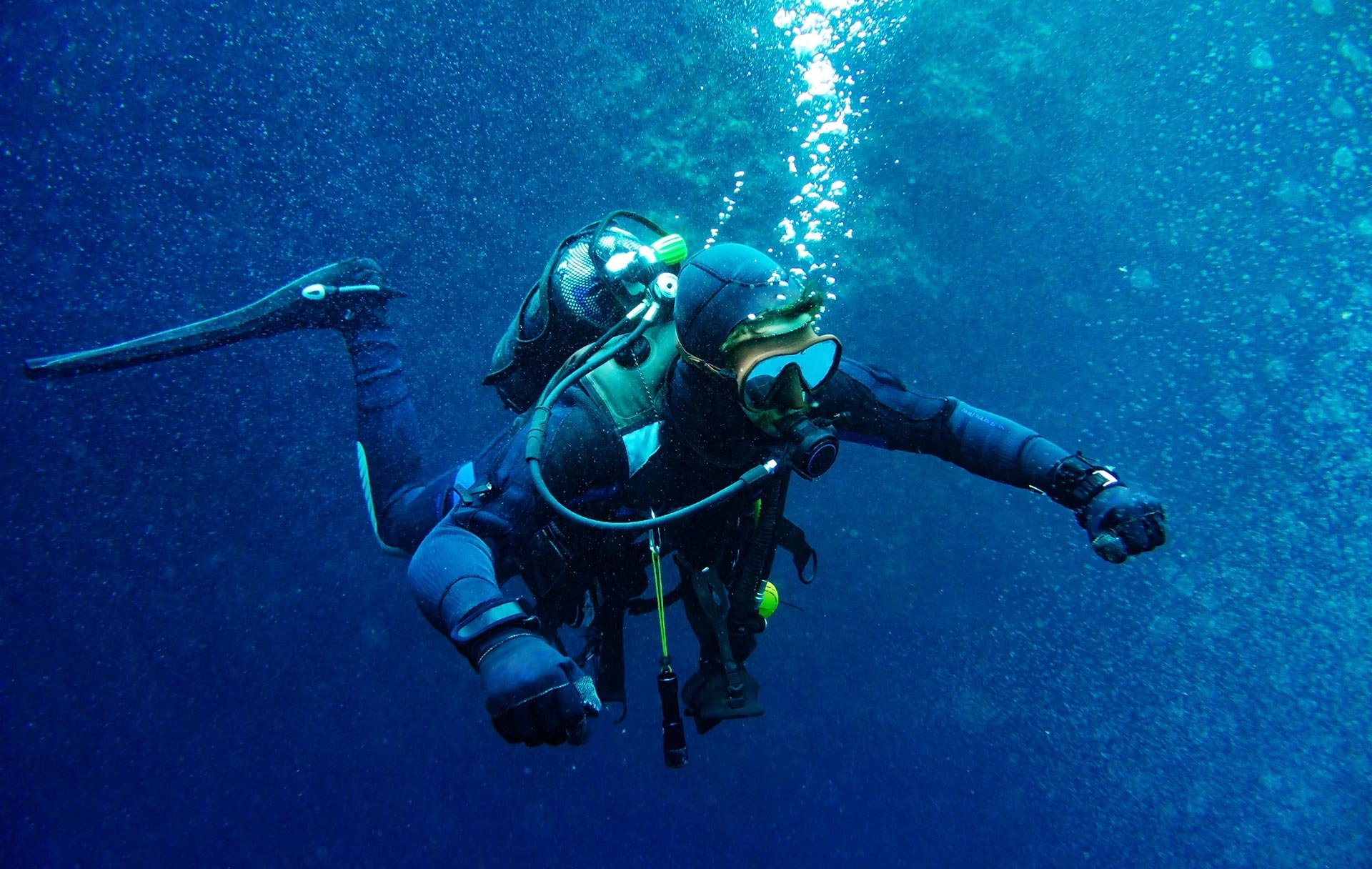 Social Dives Bare Island Tickets Dive Near Me Pty Ltd