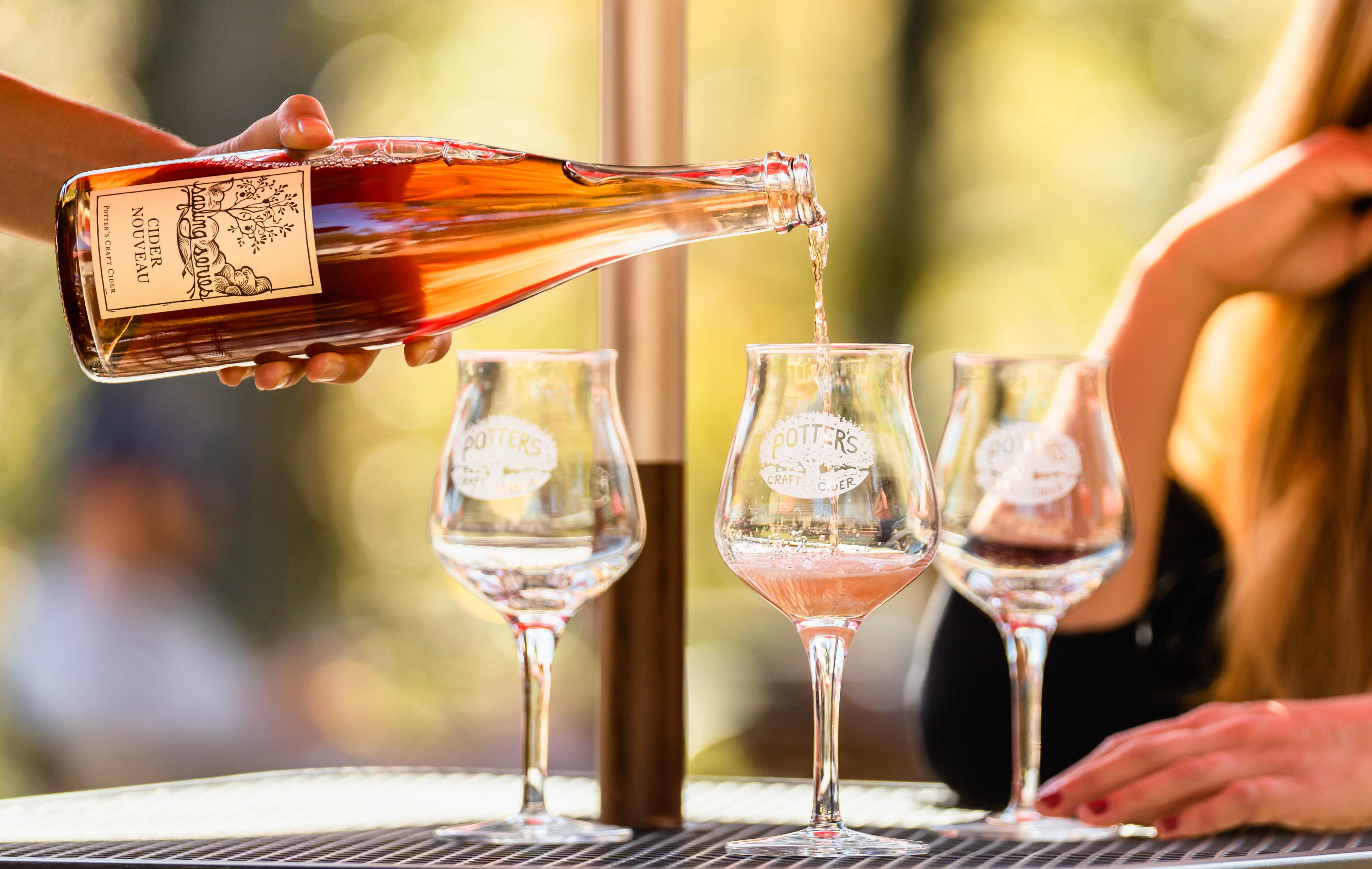 Free Cider Club Tasting Wassail 2023 Tickets Potter's Craft Cider