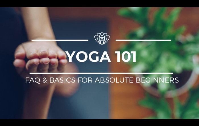 Yoga 101 Faq And Basics Tickets Yogisinsuitstm