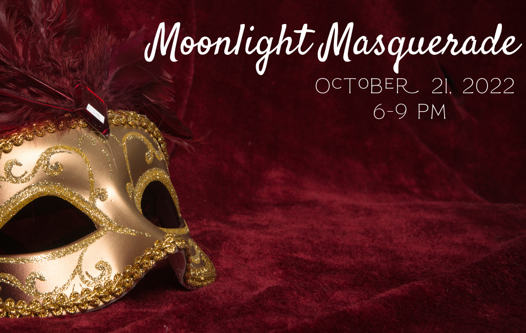 Moonlight Masquerade 4th Annual Party With A Purpose Tickets Journey