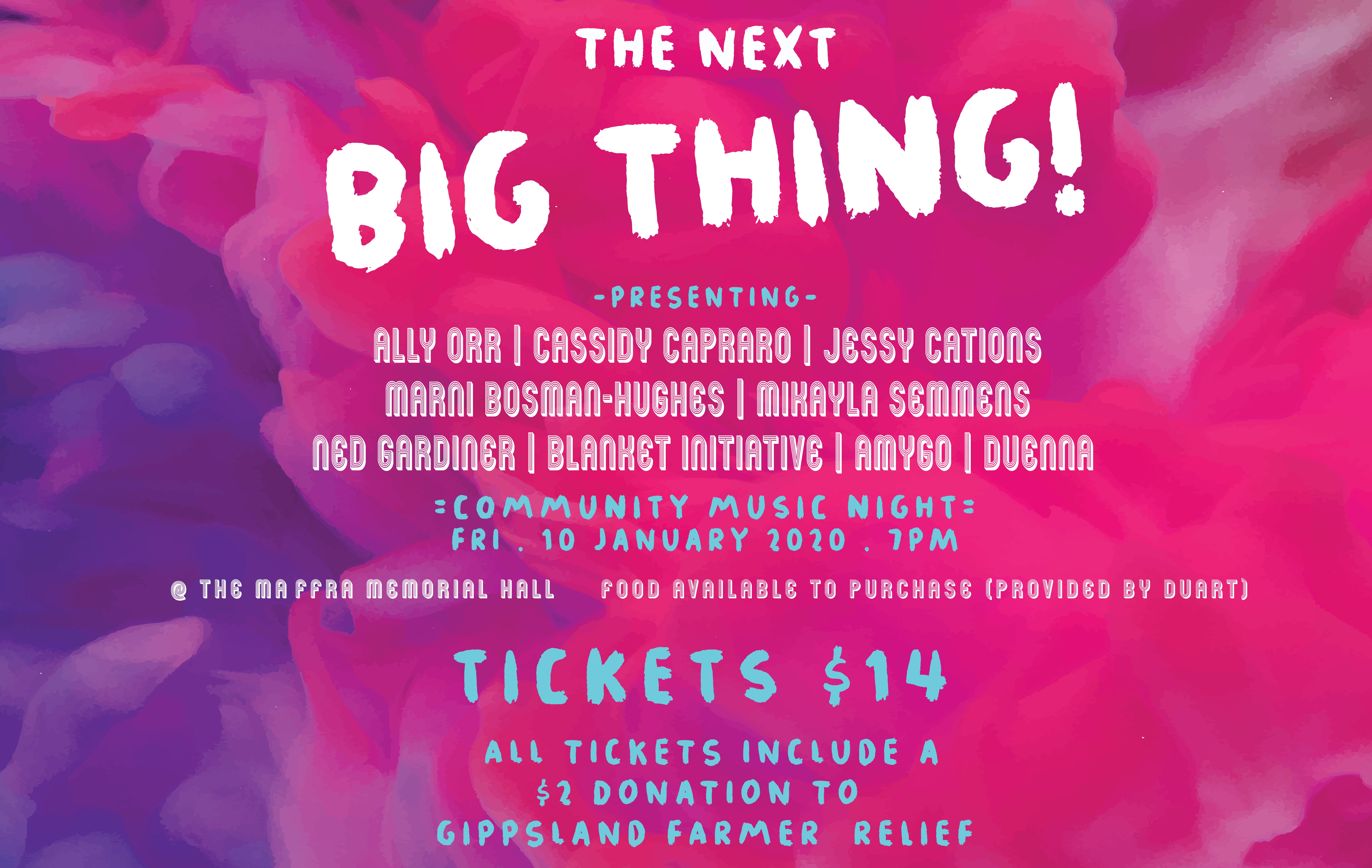 The Next Big Thing Community Music Night