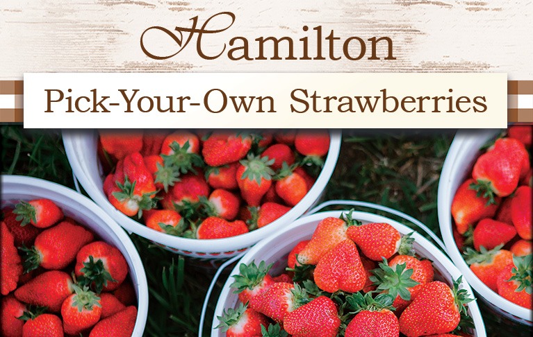 May 7th | Hamilton Strawberry U-Pick Reservation Tickets | Wegmeyer Farms