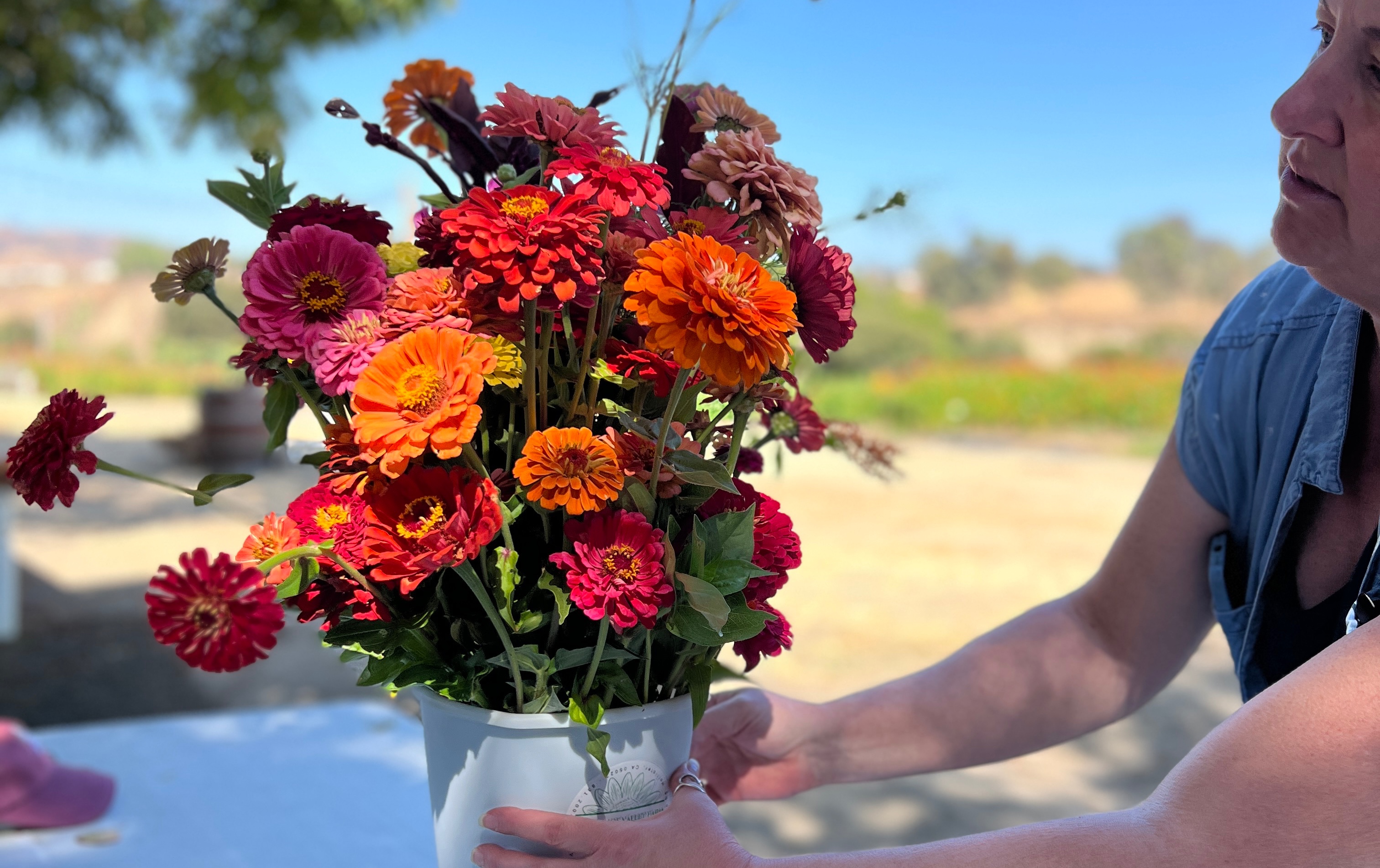 UPick Flowers SEPT. 11 Tickets Tres Pinos Valley Farm