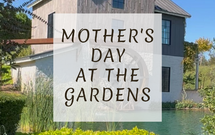 Mother’s Day at the Gardens Tickets | Queen Creek Botanical Gardens