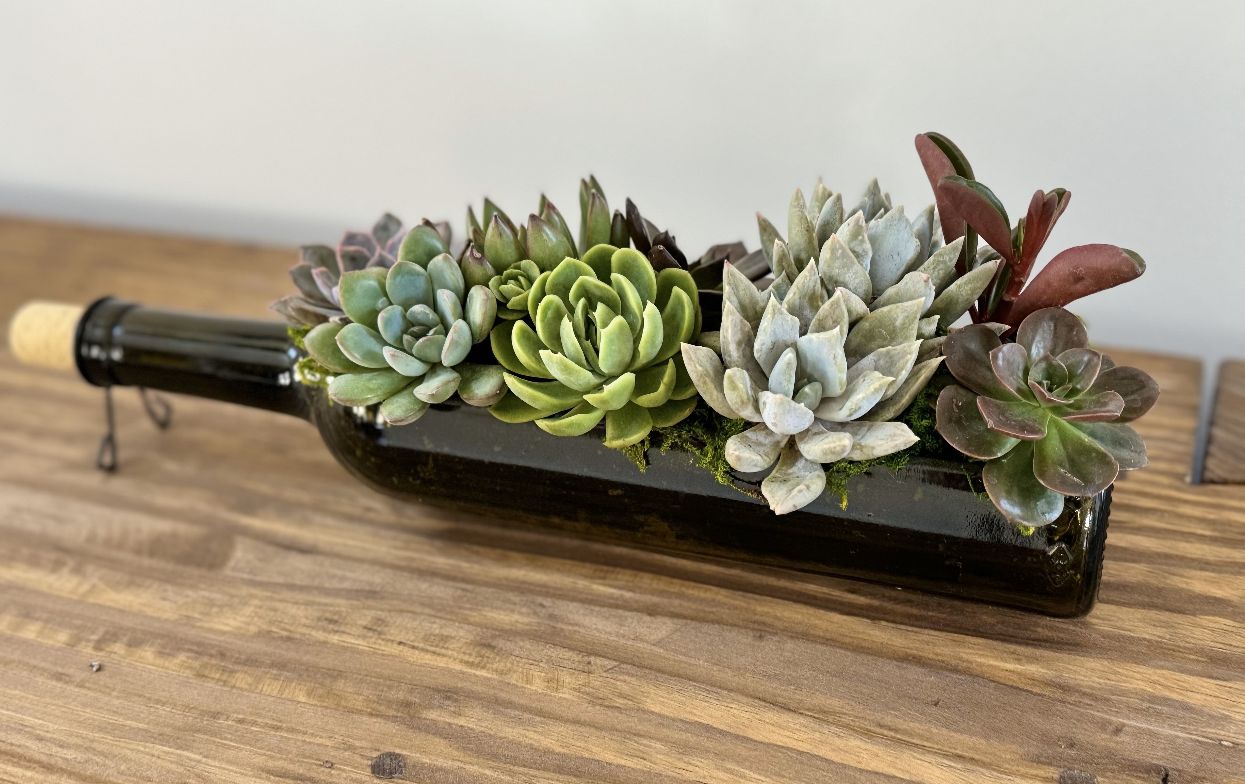 Wine Bottle Succulent Workshop at House & Barn Tickets | Gallivanting  Greenhouse