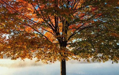 Flex Event Test 310326