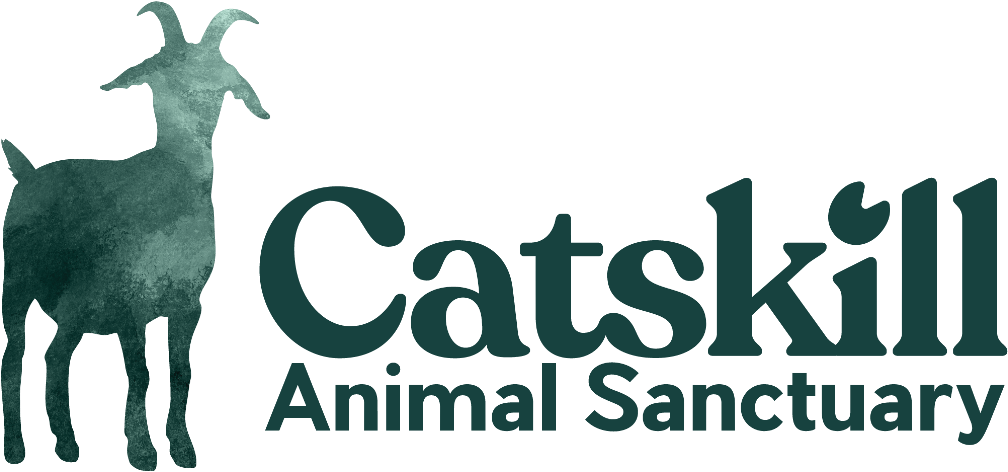 Catskill Animal Sanctuary