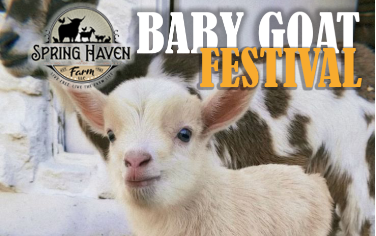 Springhaven Farm BABY GOAT FESTIVAL Tickets | Spring Haven Farm