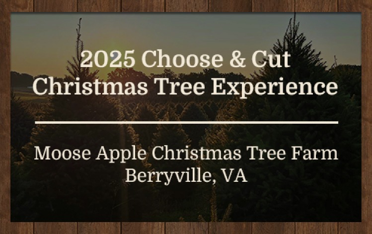 Christmas Tree Choose & Cut 2025 Tickets | Moose Apple Christmas Tree Farm