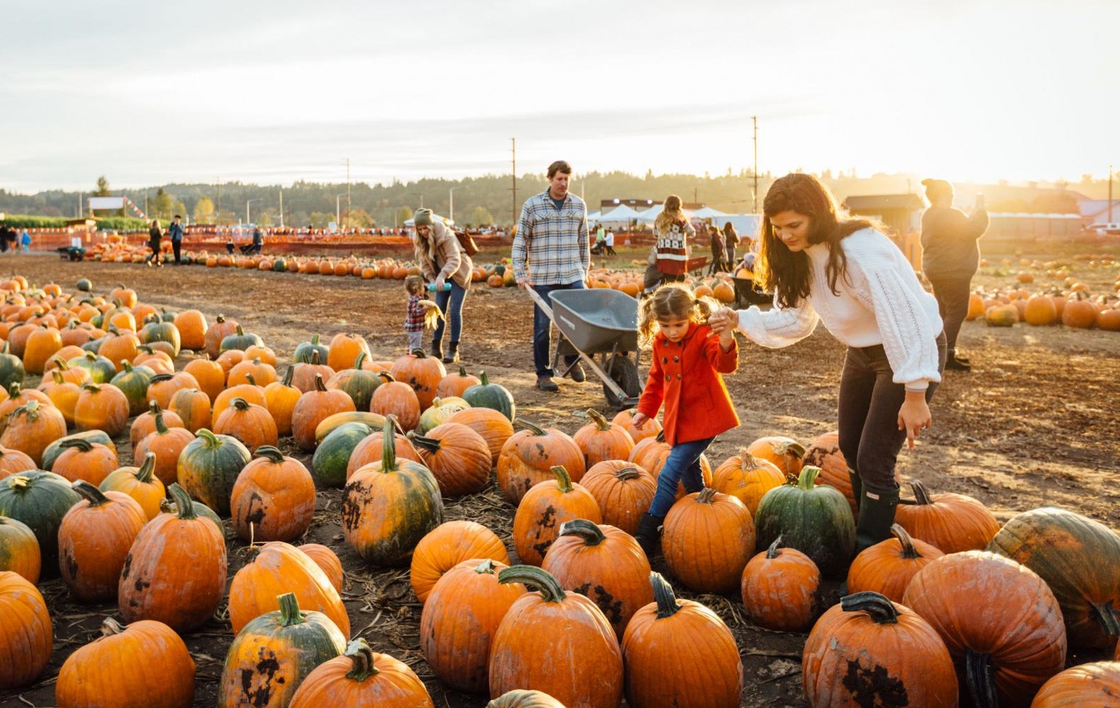 Vala's 2023 Fall Season Passes Inc