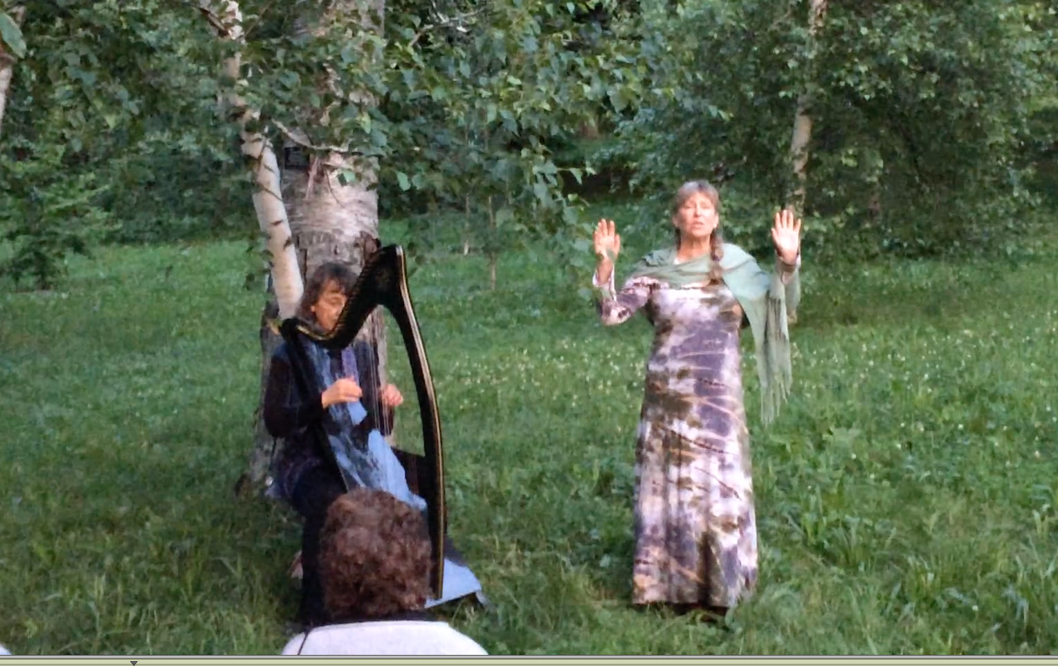 Solstice Among Trees: a Story and Music Journey Through the Arnold ...
