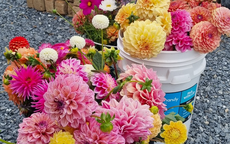 Kayena Gardens Estate