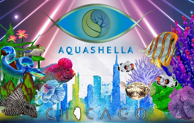 Aquashella Chicago 2020