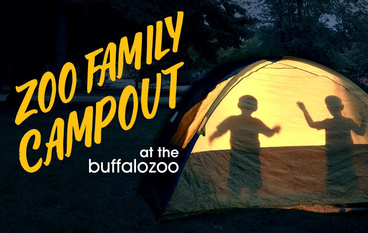 Zoo Family Campout