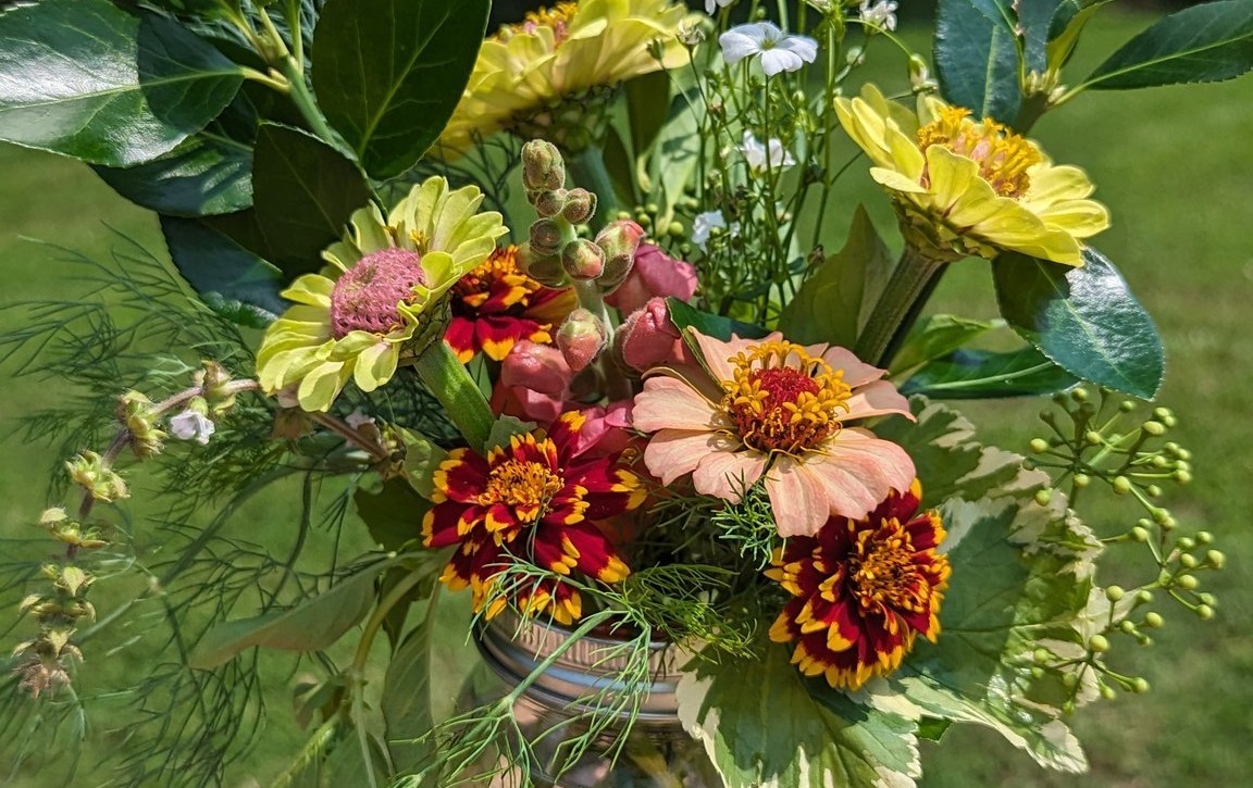 UPick Flowers Tickets The Flower Patch