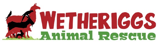 Wetheriggs Animal Rescue