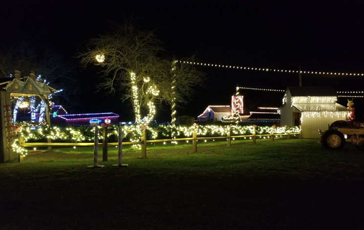 2021 Christmas At Maple Tree Farm