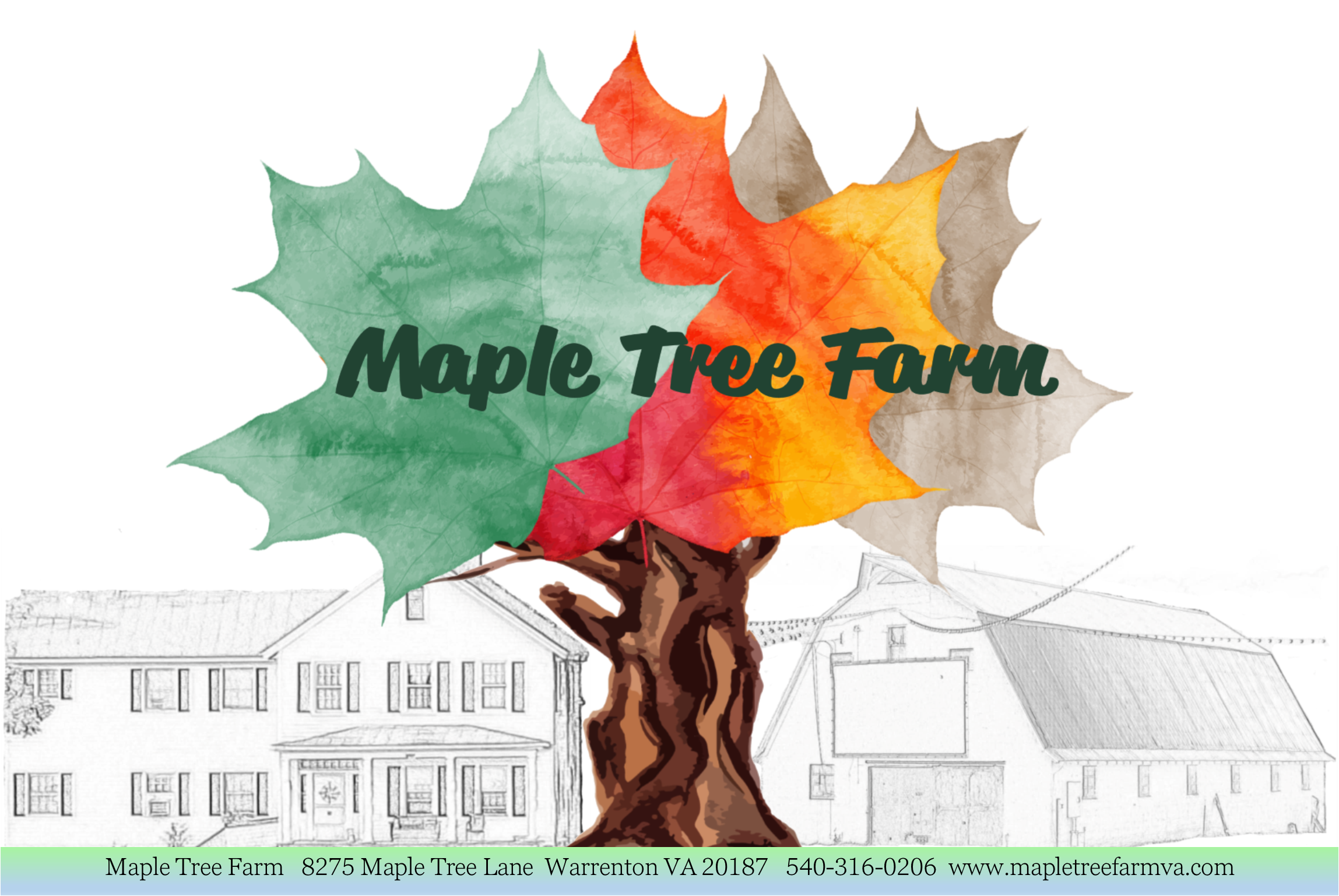 Maple Tree Farm - Division of JAPAL AG-ED INC