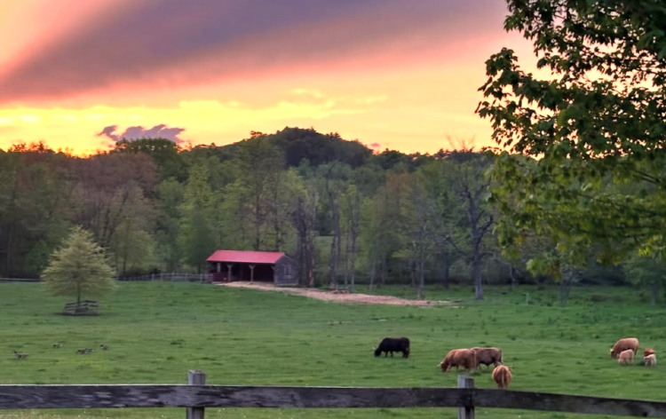 June Spring Farm Sunset Photography Session Tickets | June Farms