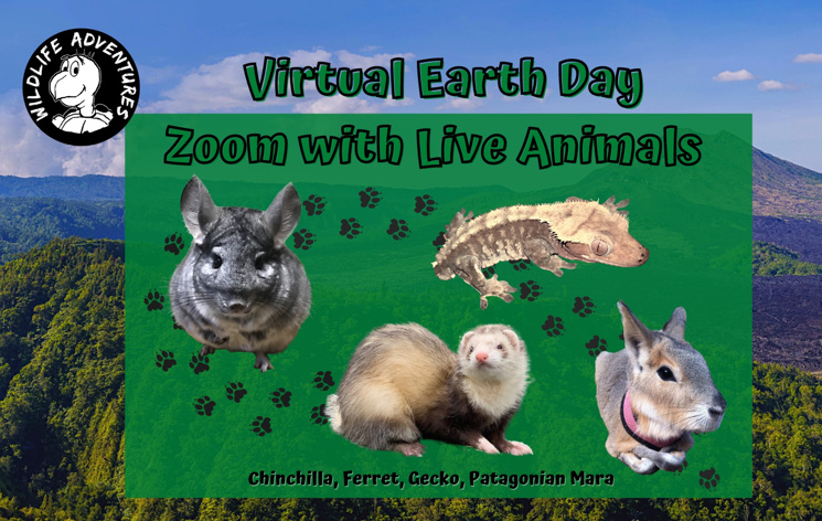 Virtual Earth Day Zoom with Live Animals