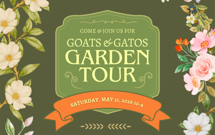 Goats & Gatos Garden Tour Tickets | Laughing Goat Flower Farm