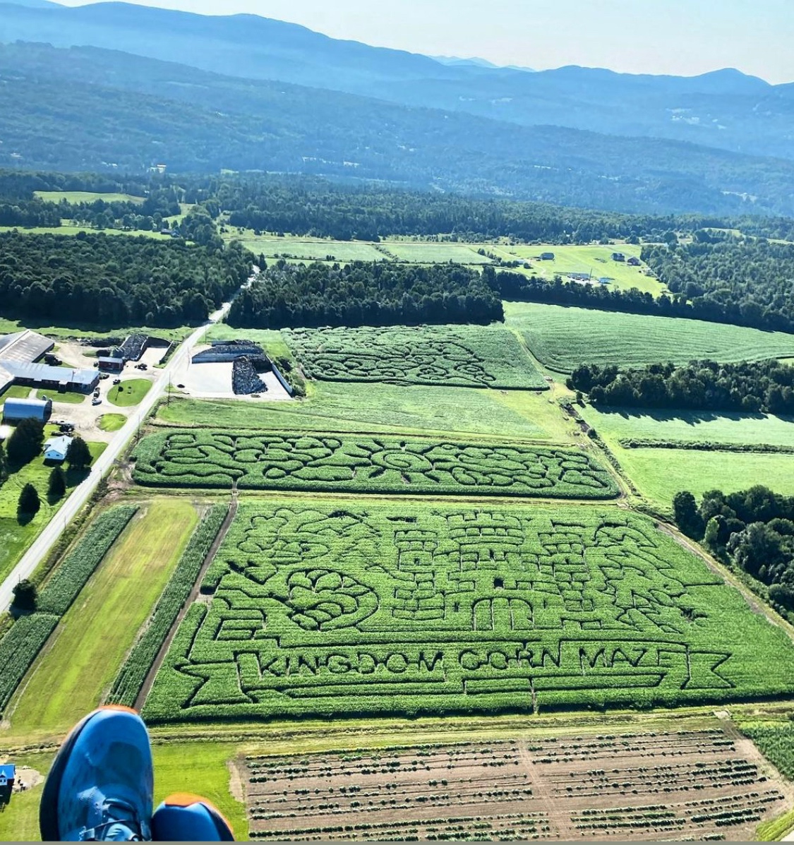 Kingdomcornmaze