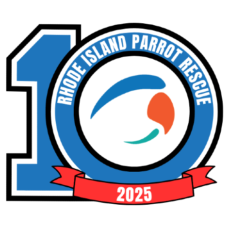 Rhode Island Parrot Rescue