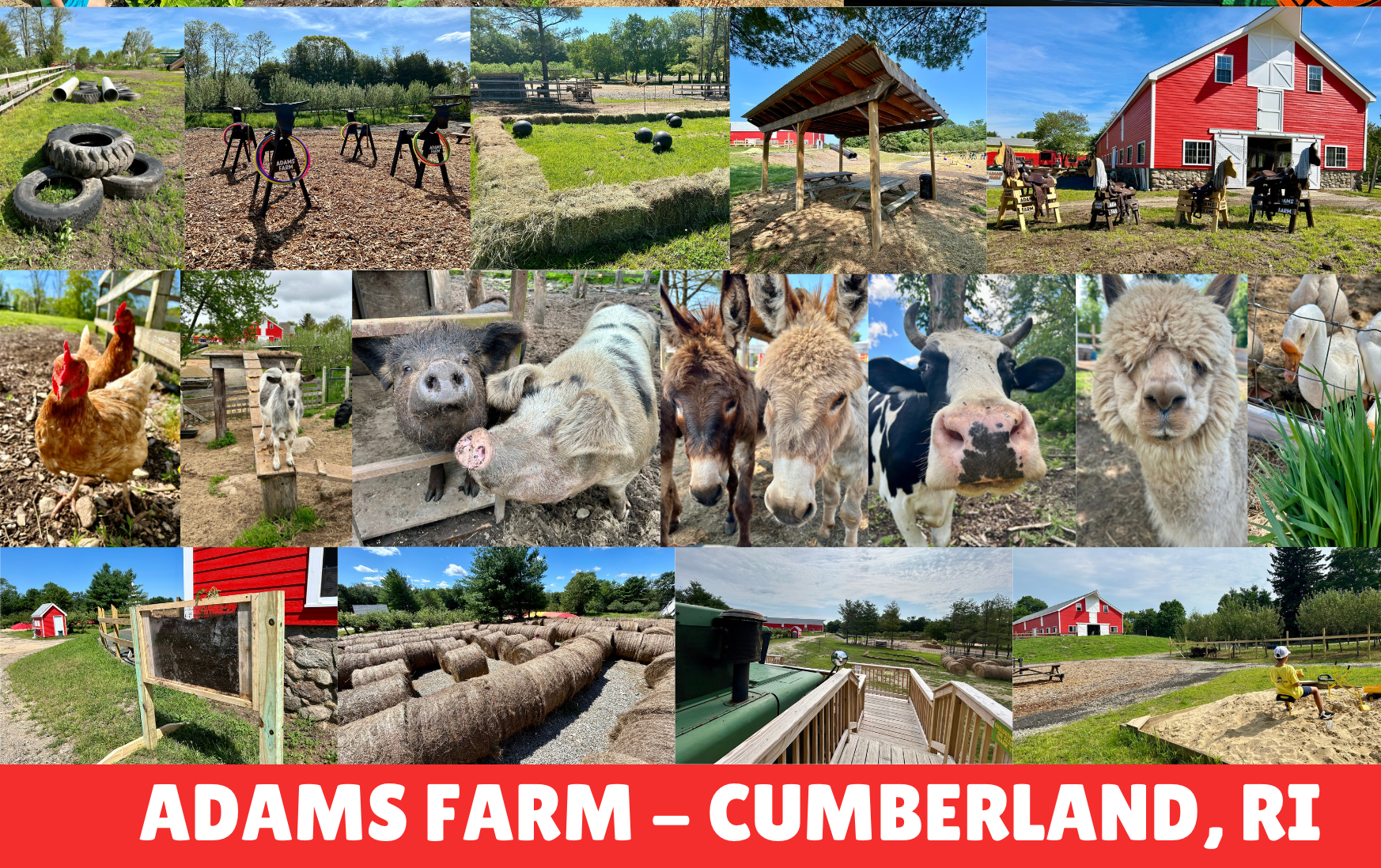 Summer 2025 Farmyard Admission Tickets | Adams Farm