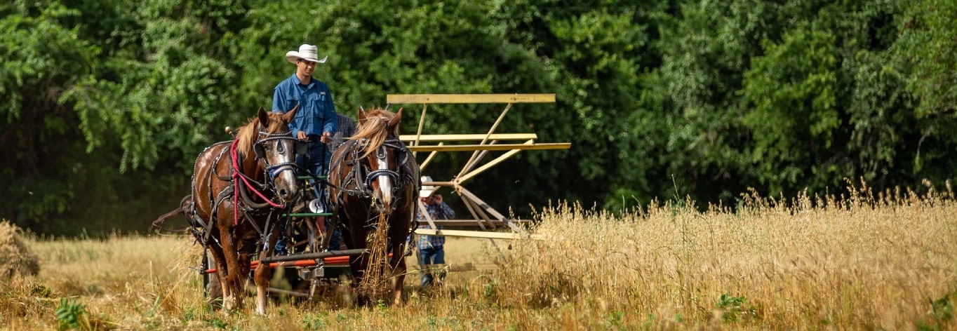 Heritage Garden, LLC.