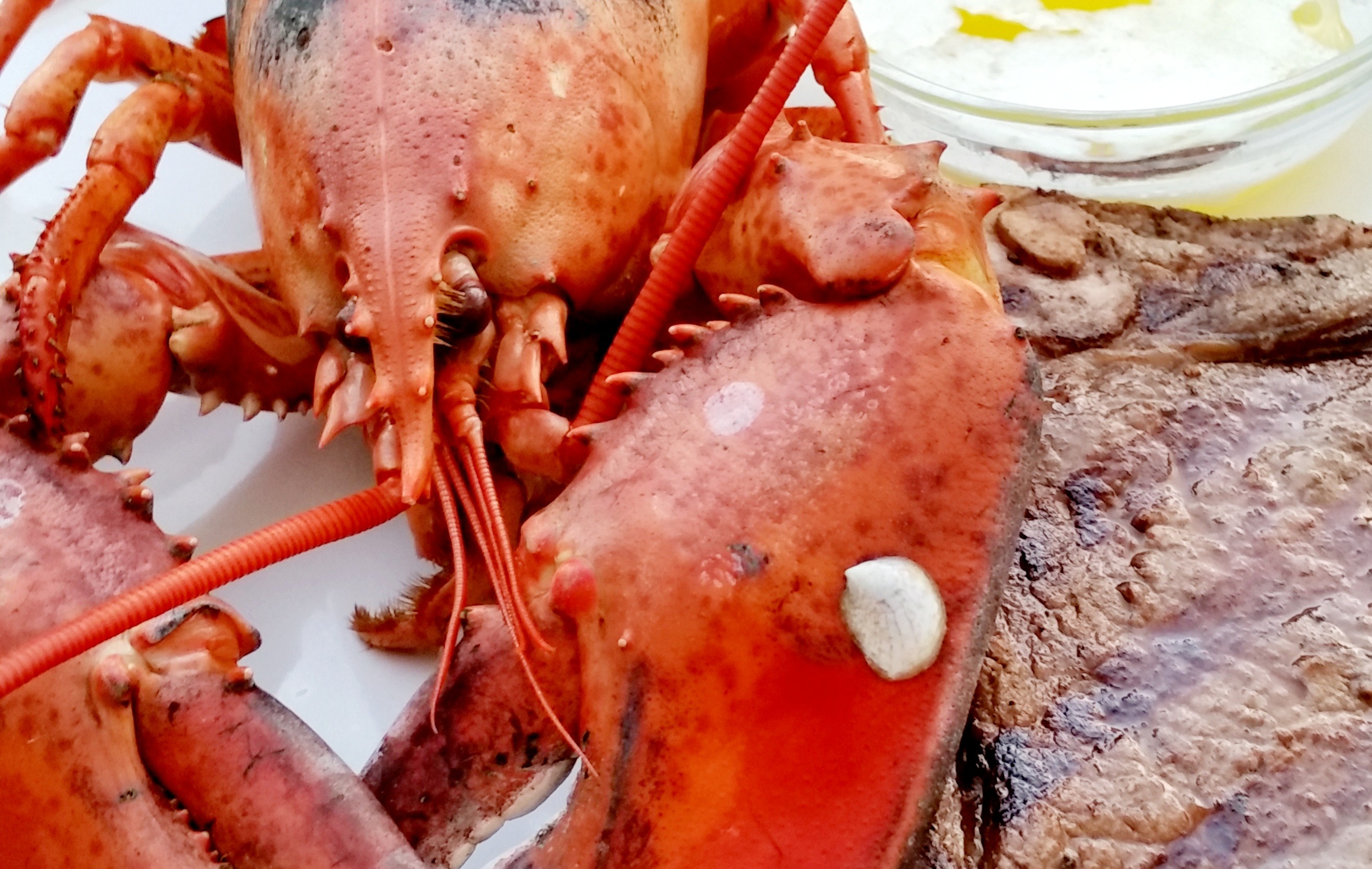 Lobster Boil 2022 Tickets The Rotary Club of Airdrie