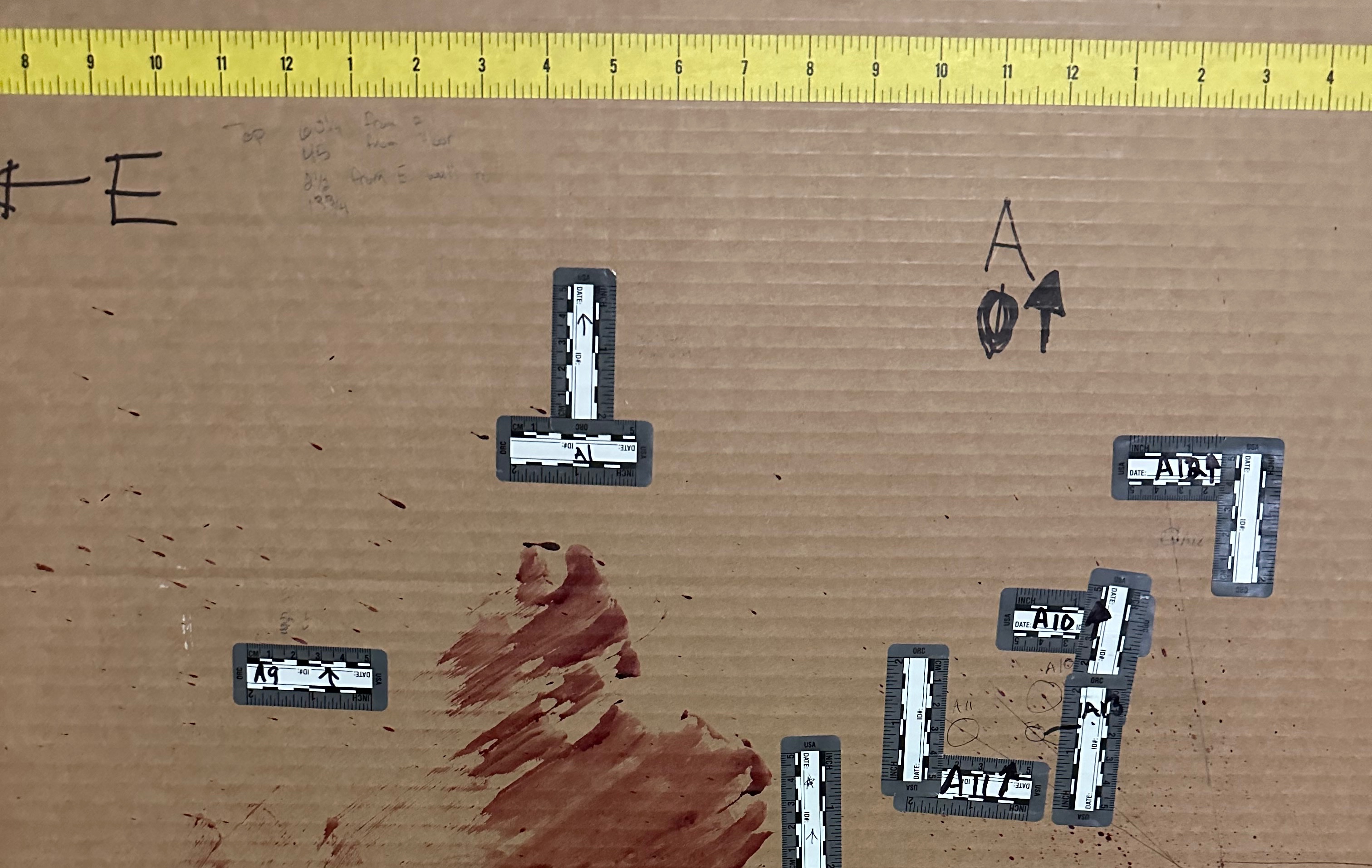 40-hour-basic-blood-stain-pattern-analysis-knoxville-tn-archived