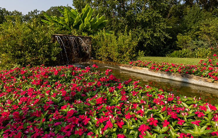 RICH SOIL AT THE GARDEN – Memphis Botanic Garden